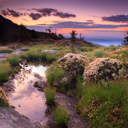 Winning nature photograph